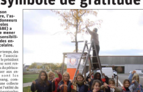 article DNA du 11 octobre 2020